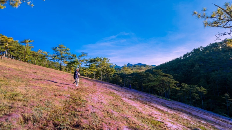 [2025] Bảng giá thuê xe Sài Gòn đi Đà Lạt - Xe Đẹp, Giá Tốt Nhất!