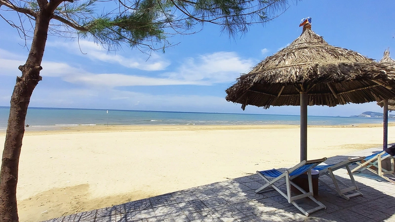 Dịch Vụ Thuê Xe Sài Gòn đi Vũng Tàu: Giá Tốt, An Toàn, Tiện Lợi