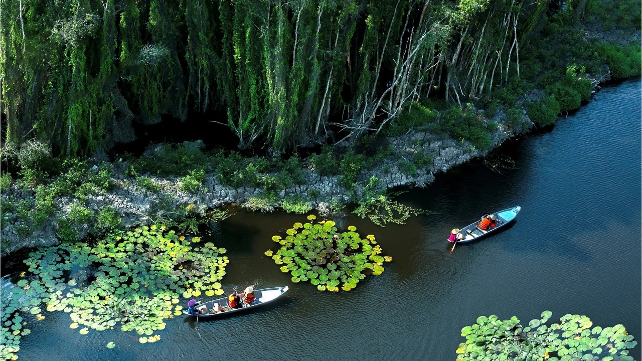Thuê xe Sài Gòn đi Đồng Tháp 4,7,16 chỗ - An toàn, tiết kiệm 2025