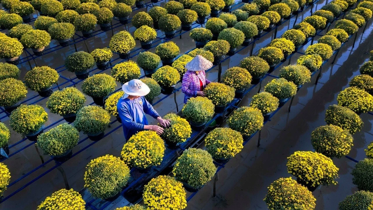 Thuê xe Sài Gòn đi Đồng Tháp 4,7,16 chỗ - An toàn, tiết kiệm 2025