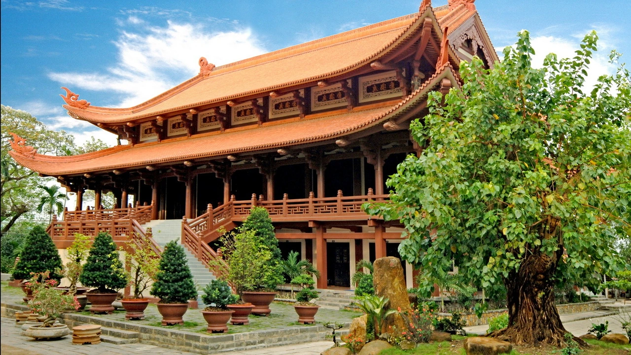 Thuê xe Sài Gòn đi Đồng Tháp 4,7,16 chỗ - An toàn, tiết kiệm 2025