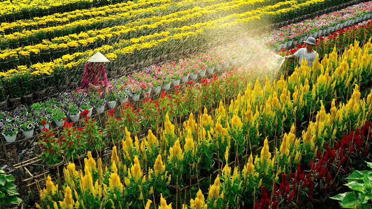 Thuê xe Sài Gòn đi Đồng Tháp 4,7,16 chỗ - An toàn, tiết kiệm 2025